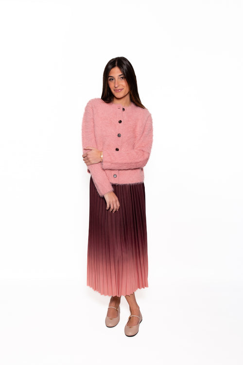 Alist Ombre Midi Skirt