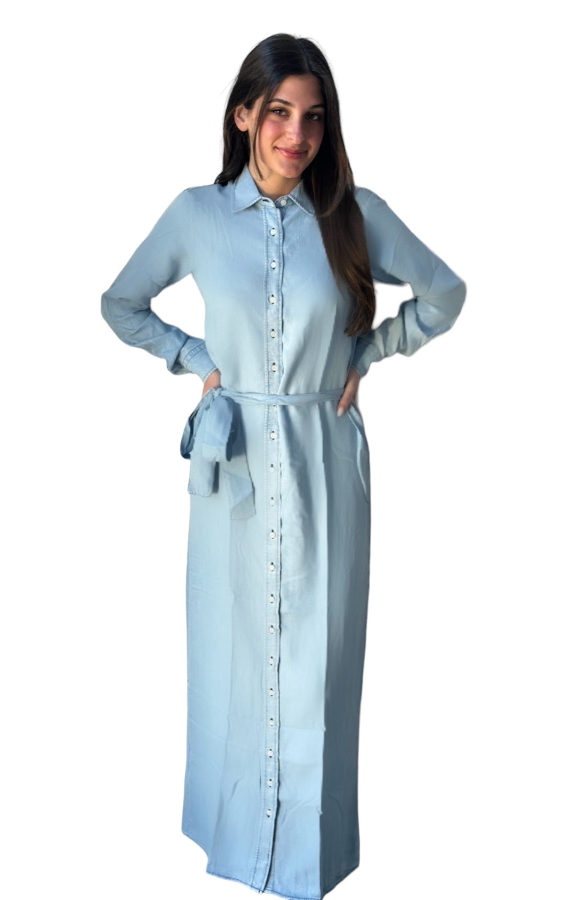 Alist Button Down Chambray Denim Dress – alist100