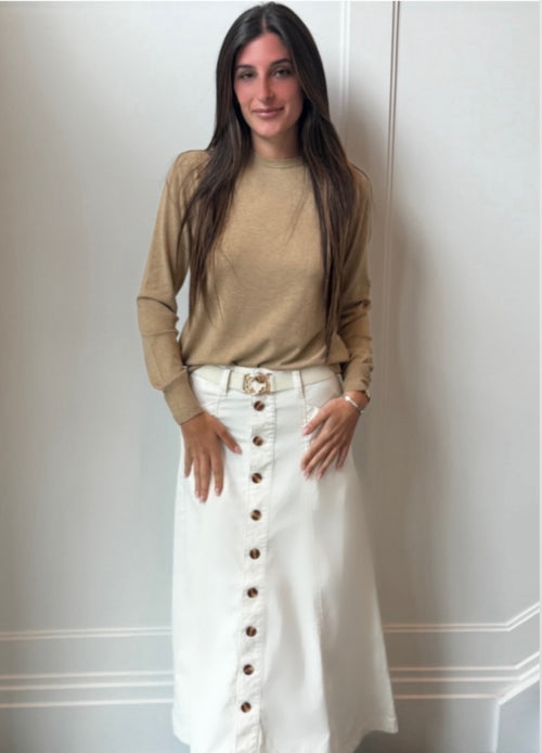 Favorite Daughter A-Line Button Down Skirt